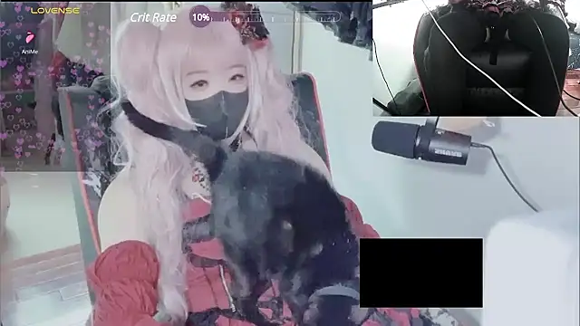 z23002 online show from 03.13.25