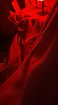 BirdyOfficial   online show from 11.07.25