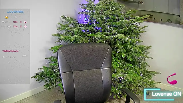 Snapshot of your_soul_Anna chatting on 12.28.24 your soul Anna online show from 12.28.24