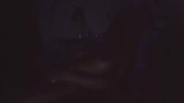 paradisejas online show from 06.12.26