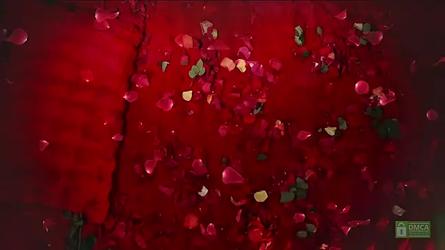 Snapshot of abbyhall_ chatting on 02.14.26 abbyhall online show from 02.14.26