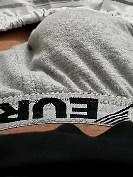 Snapshot of felix_dion chatting on 10.22.25 felix dion online show from 10.22.25