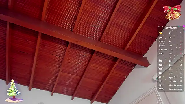 bhritany brow online show from 12.31.24