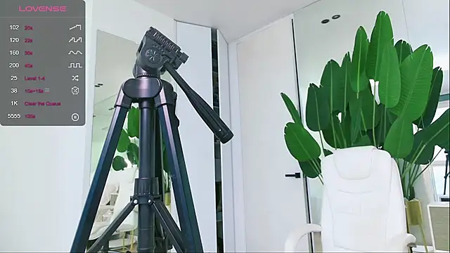 wowEva online show from 01.31.25