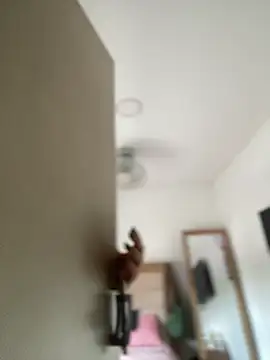 Snapshot of Lia_flowers chatting on 03.02.25 Lia flowers online show from 03.02.25