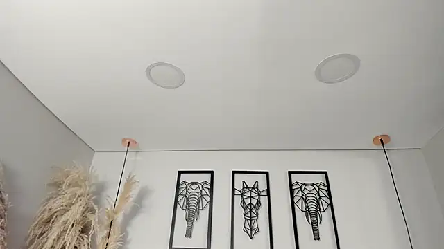 Rebeca jones online show from 10.16.25