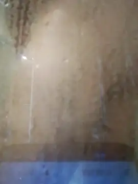 stiffandlubedxh online show from 11.23.25