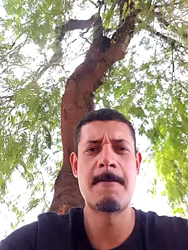 bond Mask online show from 03.18.26