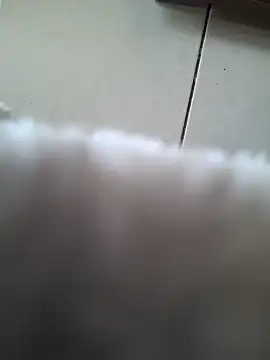 Snapshot of biboii chatting on 02.08.25 biboii online show from 02.08.25