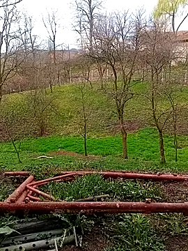 Snapshot of Medelin92 chatting on 04.03.26 Medelin92 online show from 04.03.26