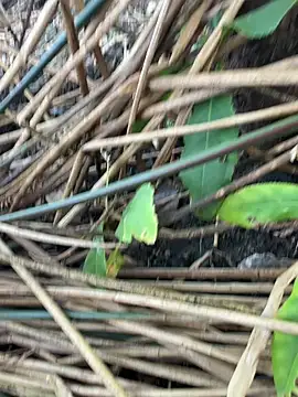 Yurt000 online show from 09.11.25