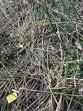 Yurt000 online show from 09.16.25