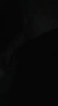 Snapshot of Bi_curious86 chatting on 11.13.25 Bi curious86 online show from 11.13.25