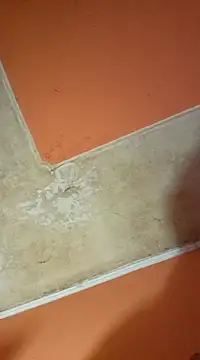 Snapshot of ducicsajsziii chatting on 03.19.25 ducicsajsziii online show from 03.19.25