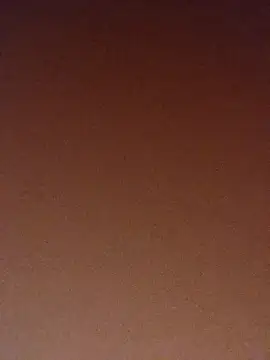 Snapshot of pinaxpack1 chatting on 11.03.25 pinaxpack1 online show from 11.03.25