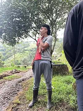 vergasgrandes online show from 12.11.24