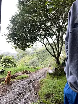 vergasgrandes online show from 01.05.25