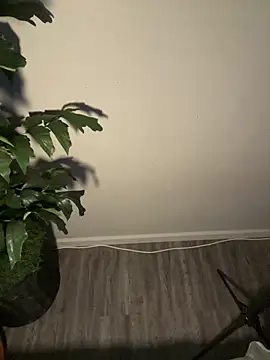 demonslayerr999 online show from 03.11.25