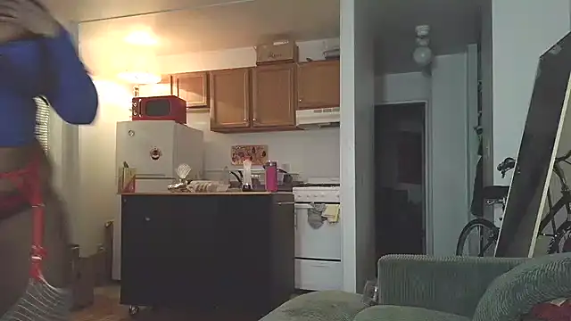 Snapshot of SiminFox chatting on 12.18.25 SiminFox online show from 12.18.25