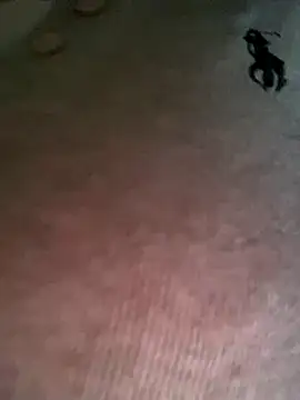 Ruby bear online show from 12.19.25