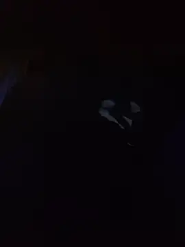 Hotbodyscottie online show from 03.13.26