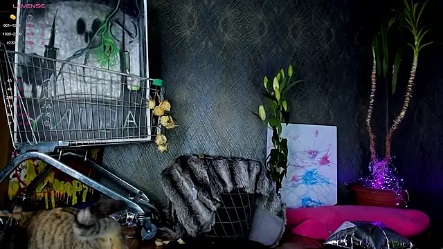 Snapshot of little_grinch666 chatting on 01.30.25 little grinch666 online show from 01.30.25