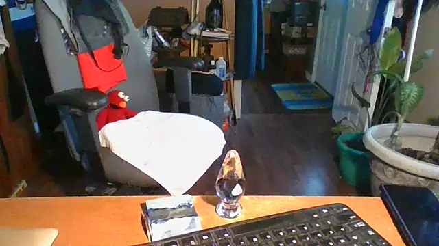 Daremeknot online show from 12.31.24