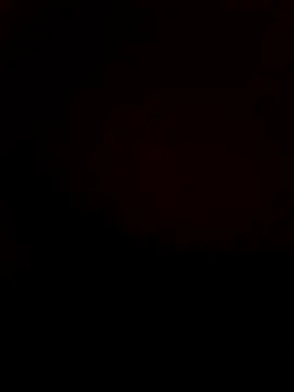 DANY49DANY49 online show from 11.12.25