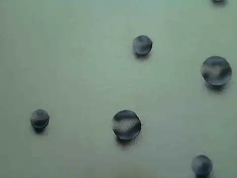 Jillian Pattie online show from 01.07.25