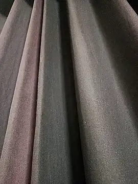 Snapshot of OH-Monica chatting on 09.29.25 OH-Monica online show from 09.29.25