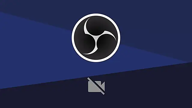 LonelyFlower online show from 12.29.24