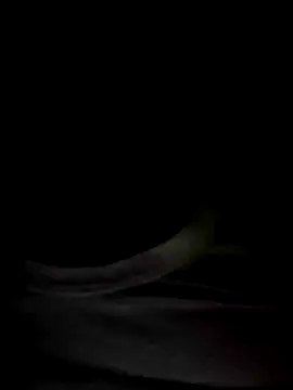 Mr Perfect Man online show from 01.08.25