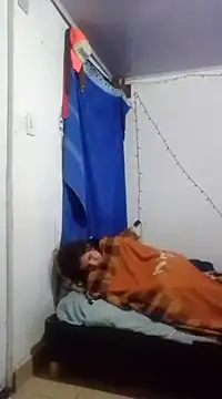 Cameron puppy online show from 03.11.25