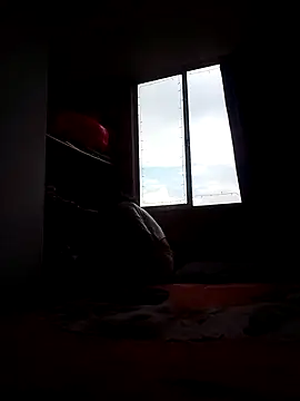 Cameron puppy online show from 11.15.25