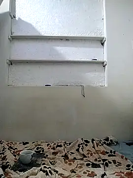 Cameron puppy online show from 04.29.26