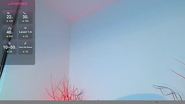 Snapshot of mike_wallace chatting on 12.12.24 mike wallace online show from 12.12.24