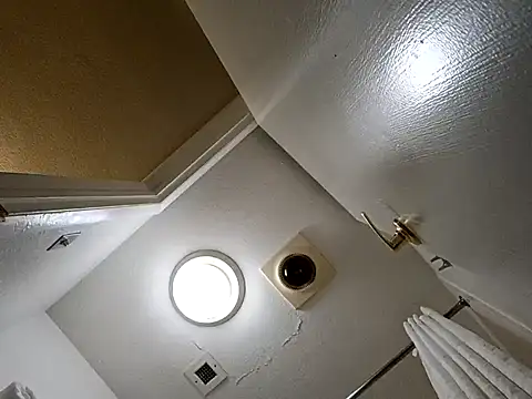 Treemandude online show from 10.29.25