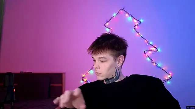 Snapshot of DENIS_HERE chatting on 12.01.25 DENIS HERE online show from 12.01.25