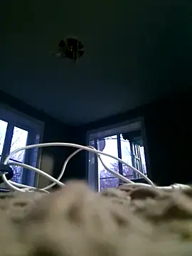 WhoreAnalsssxxx online show from 03.31.26