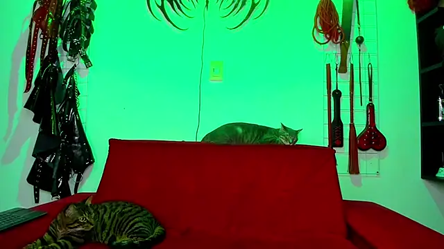 irregular fetish  online show from 02.26.26