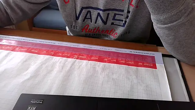 Snapshot of SissyStefanie chatting on 01.02.25 SissyStefanie online show from 01.02.25