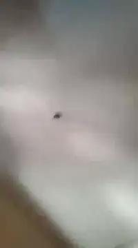 Snapshot of gala2 chatting on 03.05.25 gala2 online show from 03.05.25