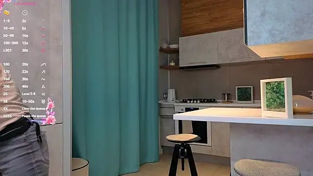 Snapshot of DonnaBurkee chatting on 12.04.25 DonnaBurkee online show from 12.04.25