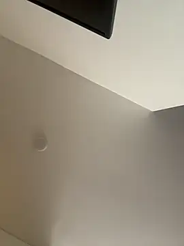 pamell col online show from 11.14.25