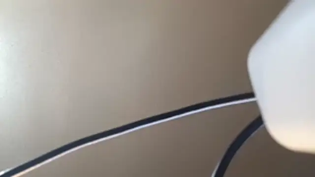 EXOTICLEXXXI online show from 02.02.26