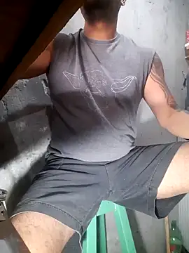 hecwil8 online show from 02.12.26