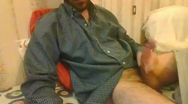 tozebrito hd online show from 02.16.25