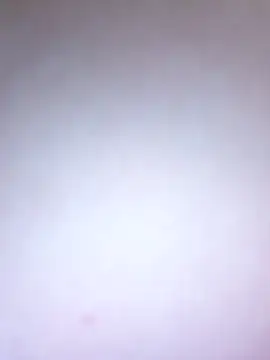 BlackCurly online show from 05.24.26