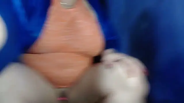 CamelliaLong online show from 03.06.25