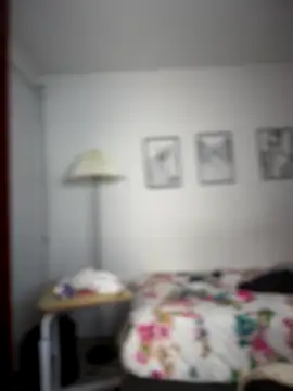 horny roomiess online show from 11.25.25